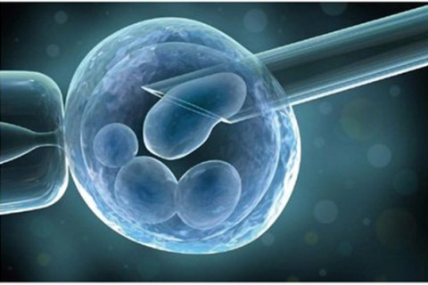 b超单子上有男女暗示xy，这可能吗